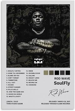 JINZE Rod Poster Wave Soulfly Album Cover Poster Decorative Painting Canvas Wall Posters And Art Picture Print Modern Family Bedroom Decor Posters for Room Aesthetic 16x24inch40x60cm