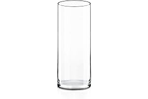 CYS Excel Cylinder Glass Flower Vase - A Crystal Clear Statement for Your Home