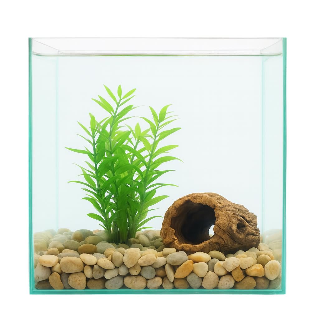 Nano Aquarium 30x30x35 cm – Vollglasaquarium 31L aus Floatglas – Garnelen Aquarium & Aquascaping Becken – Quadratisch, 360° Rundumblick, Rahmenlos