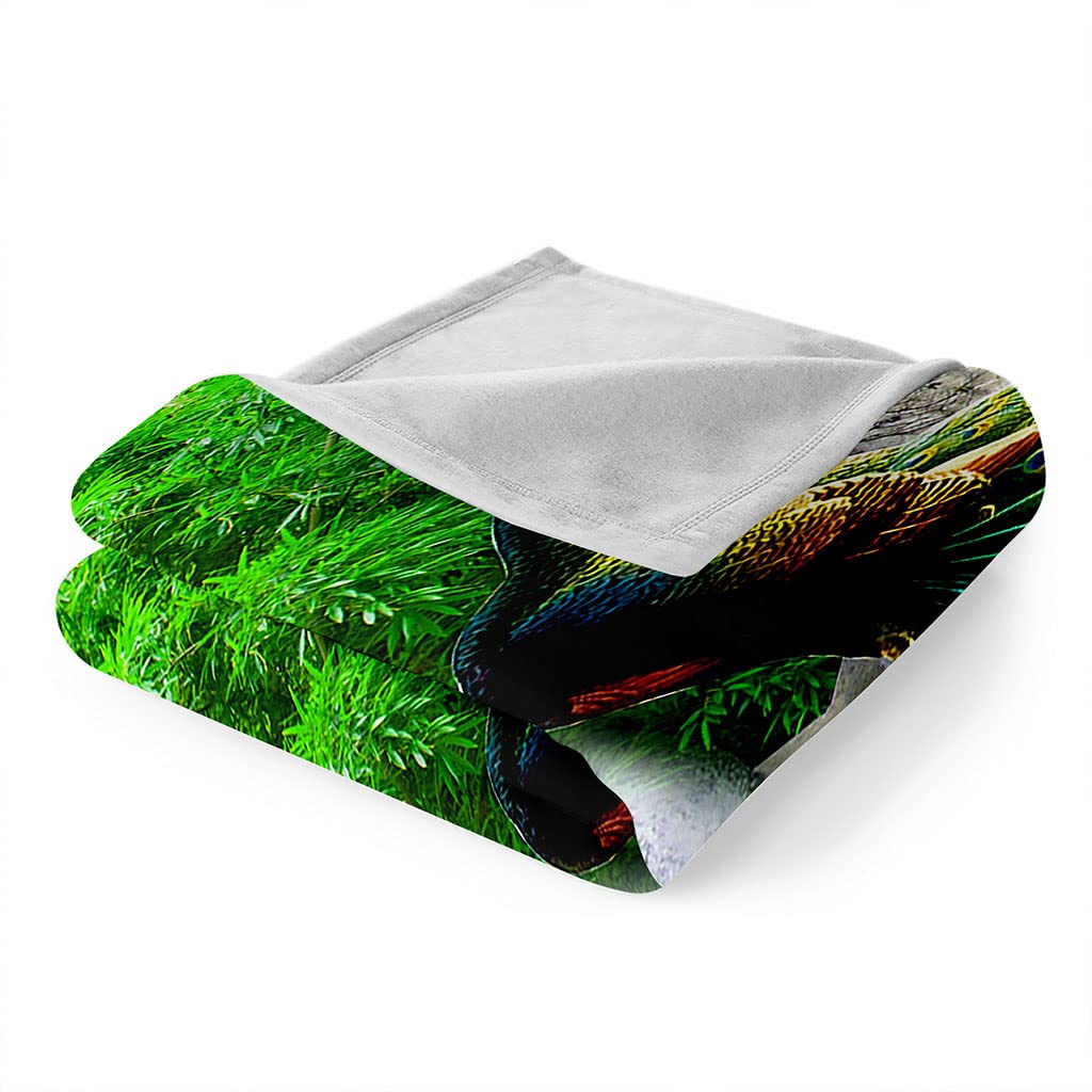 Manta De Franela De Microfibra 150X200Cm Manta De Felpa Suave para Sofá Cama 3D Pavo Real Animal Verde Impresión Patrón Polar Invierno Gruesa Y Esponjosa Caliente Transpirable