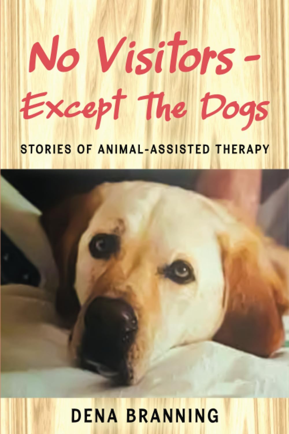 No Visitors - Except The Dogs: Stories Of Animal-Assisted Therapy