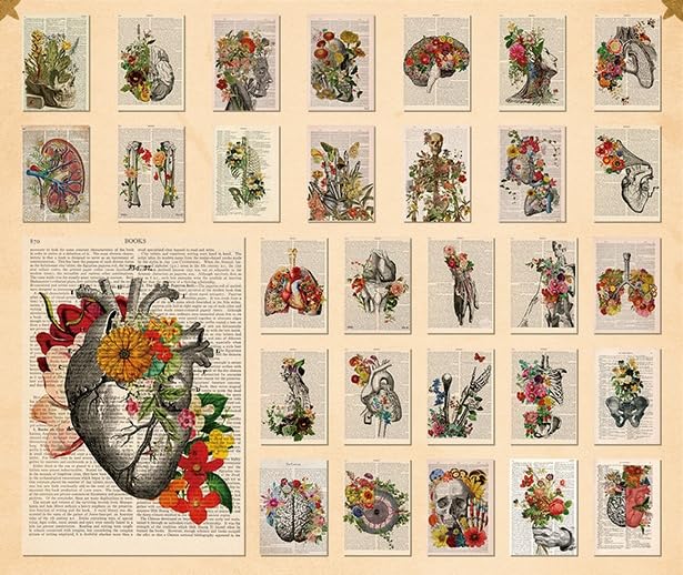 THE ALFEE/takamiy2020ソロ パンフレット(ピック・シート) THE