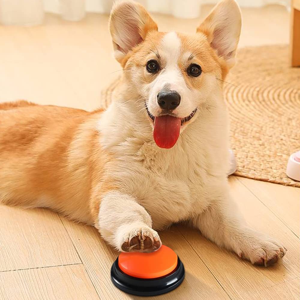 4 Pulsanti Per Cani Parlanti - Con Registrazione Vocale | Per Addestramento E Giochi - Foto 10