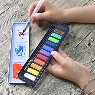 STATIONERY ISLAND Watercolour Paint Set Professional Painting Supplies Kit in Portable Travel Tin with Paintbrush and Mixing Palette, 12 Full Pan Sketchers' Pocket Box for Artists Adult Beginners