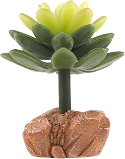 Fake Succulents Stone Flower, Reptile Plants for Terrarium, Amphibian Tank Accessories Habitat Decor fit Crested Gecko Leopard Lizard Chameleon Ball Python Snake Frog