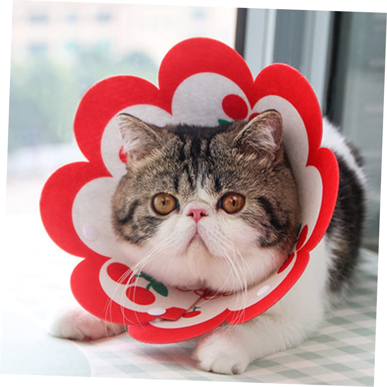 BESPORTBLE 5pezzi Collare Elisabettiano Decorativo Per Gatti Morbido e Traspirante Collare Per Post-operazione Protezione Ferite Misura Media Accessorio Per Animali Domestici Feltro