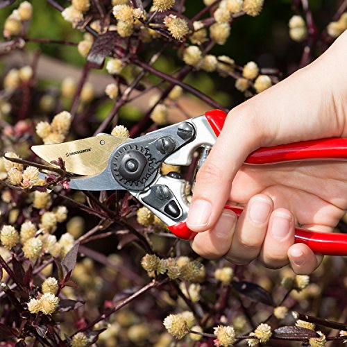 Precisionpro Titanium Pruning Shears - Best Bypass Pruner Garden Shears,Tree Trimmer - Ideal Shrub Plant Scissors & Rose Cutter Razor Sharp Hand Secateurs Ergonomic Gardening Tool For Effortless Cuts #TOP5