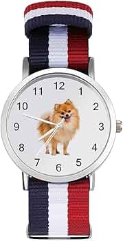 Amazon.co.jp: 腕時計 ポメラニアン 犬柄 うで時計 スポーツウォッチ