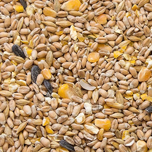 My Little Farm Bio-Hennenkorn, 10 kg, Bio-Körnerfutter für Hühner, ideal für Legehennen und andere Geflügel, naturgesunde Vollkornmischung, vitalstoffreich