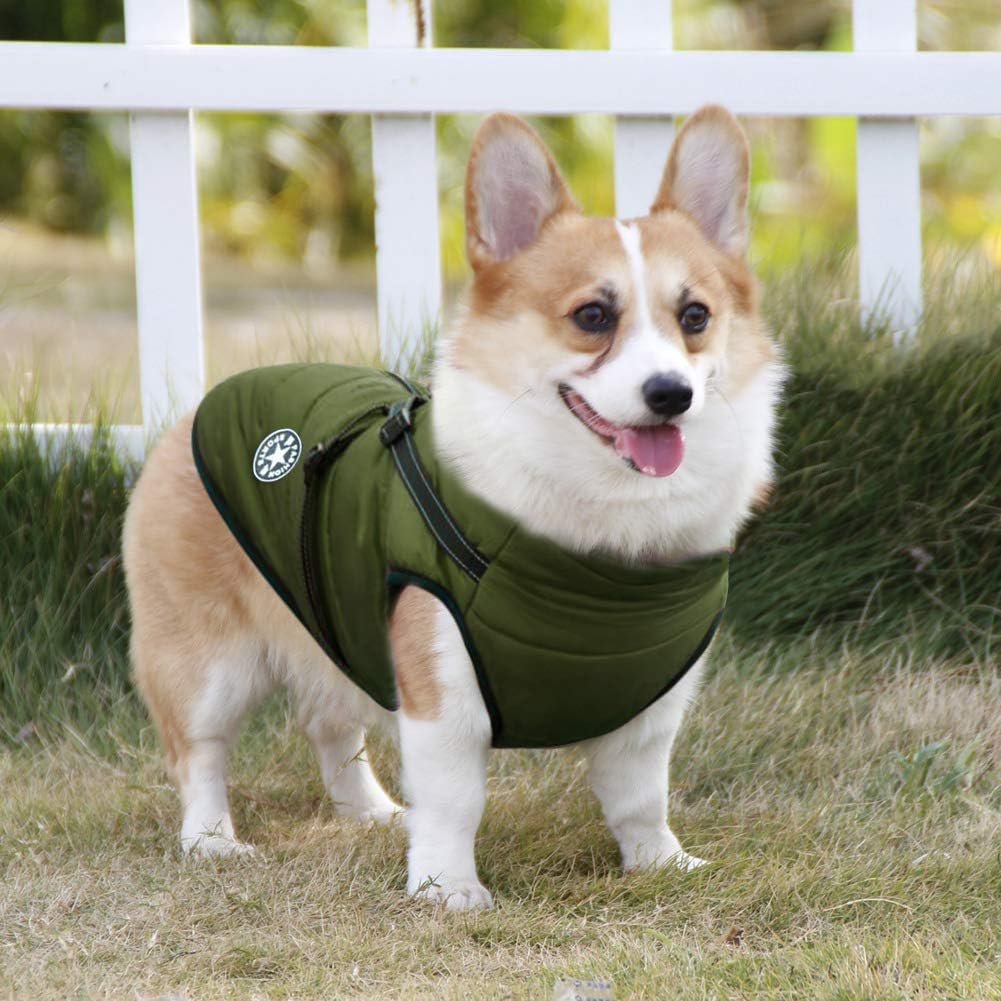 Aiboria Dog Jackets for Winter Windproof, Waterproof, 2-in-1 Outfit, Cold Weather Coat, Puppy Winter Warm Jacket - Image 4