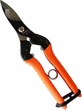 Amazon サボテン 園芸バサミ はく皮鋏 No Ag 19 園芸用はさみ