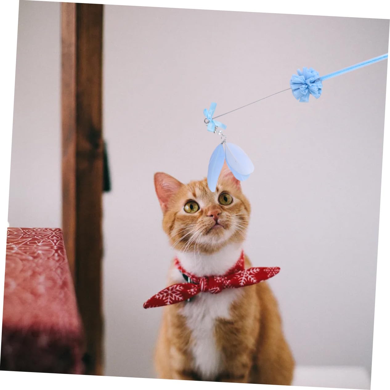DOITOOL 9piezas Juguetes Interactivos para Gatos Pack Cat Teaser Diseño y Divertido Material para Mantener Tu Gato y Feliz