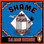 Cover of Shame
