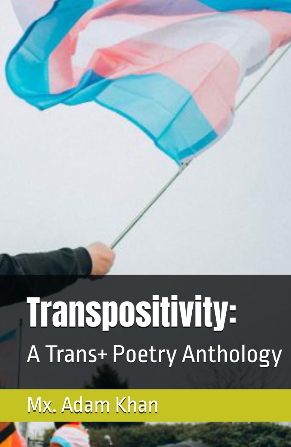 Transpositivity:: A Trans+ Poetry Anthology
