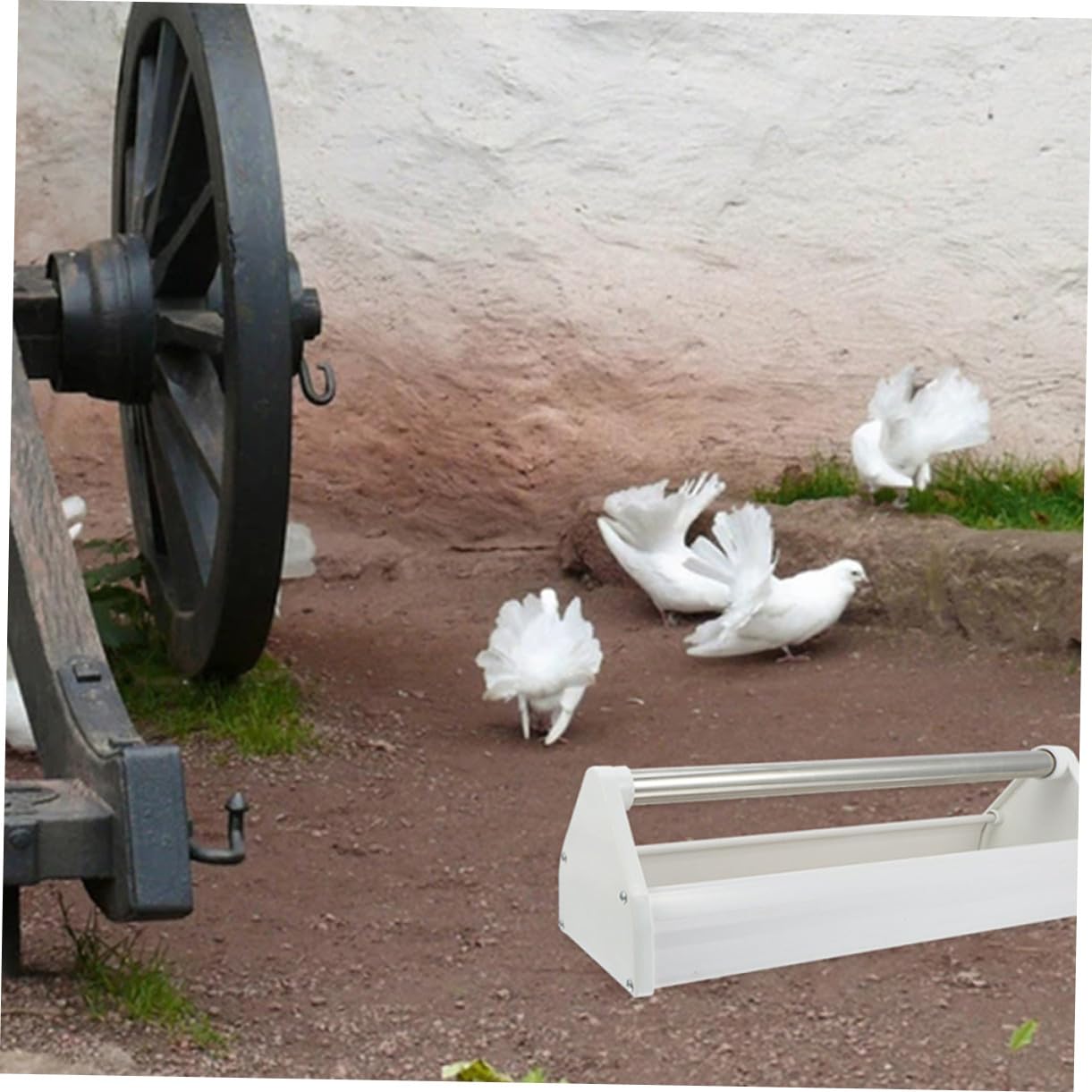 Mangeoire pour Pigeons Anti-éclaboussures Légère, Lot de 2, Blanc | Acier Inoxydable et Plastique Acier, Usage Extérieur, Résistante à L’usure, pour Oiseaux et Pigeons