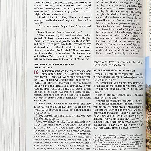 Holman Bibles 9781535997928 Csb Holy Land Illustrated Bible thumb #5