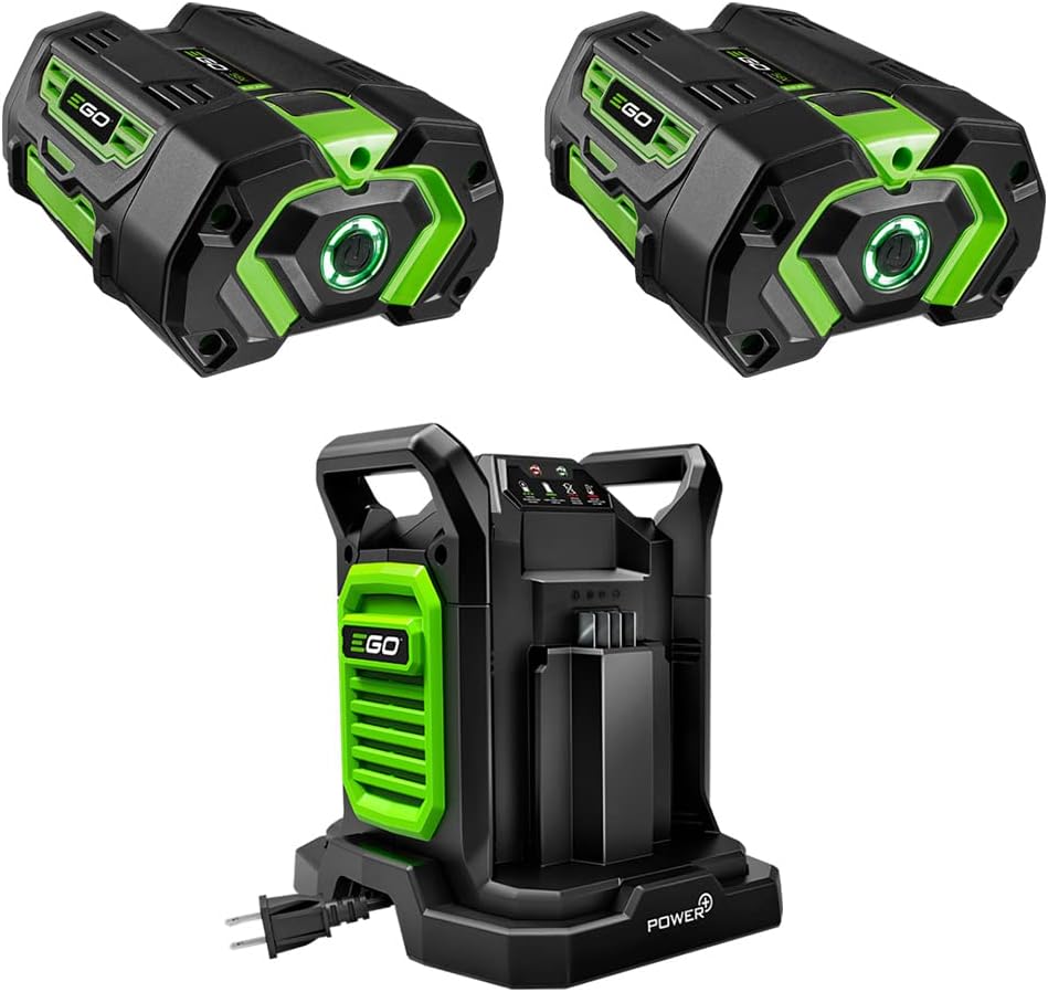 2 Pack of BA2800T 5.0 Ah Battery with Upgraded Fuel Gauge (3rd Generation) & CH2800D 56-Volt 280W Dual Port Charger