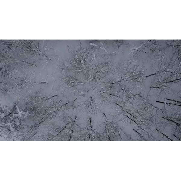 Craft Sportswear Women's Warm Intensity Running and Training Fitness Workout Outdoor Sport Tight Fit Base Layer Long Pants: cooling/bike/ski/sun/protection/bottoms, Black/Granite, Medium