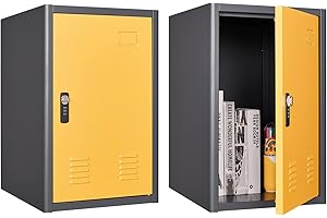 KAER Locker Storage Cabinet: Secure Safe Haven for Home Essentials