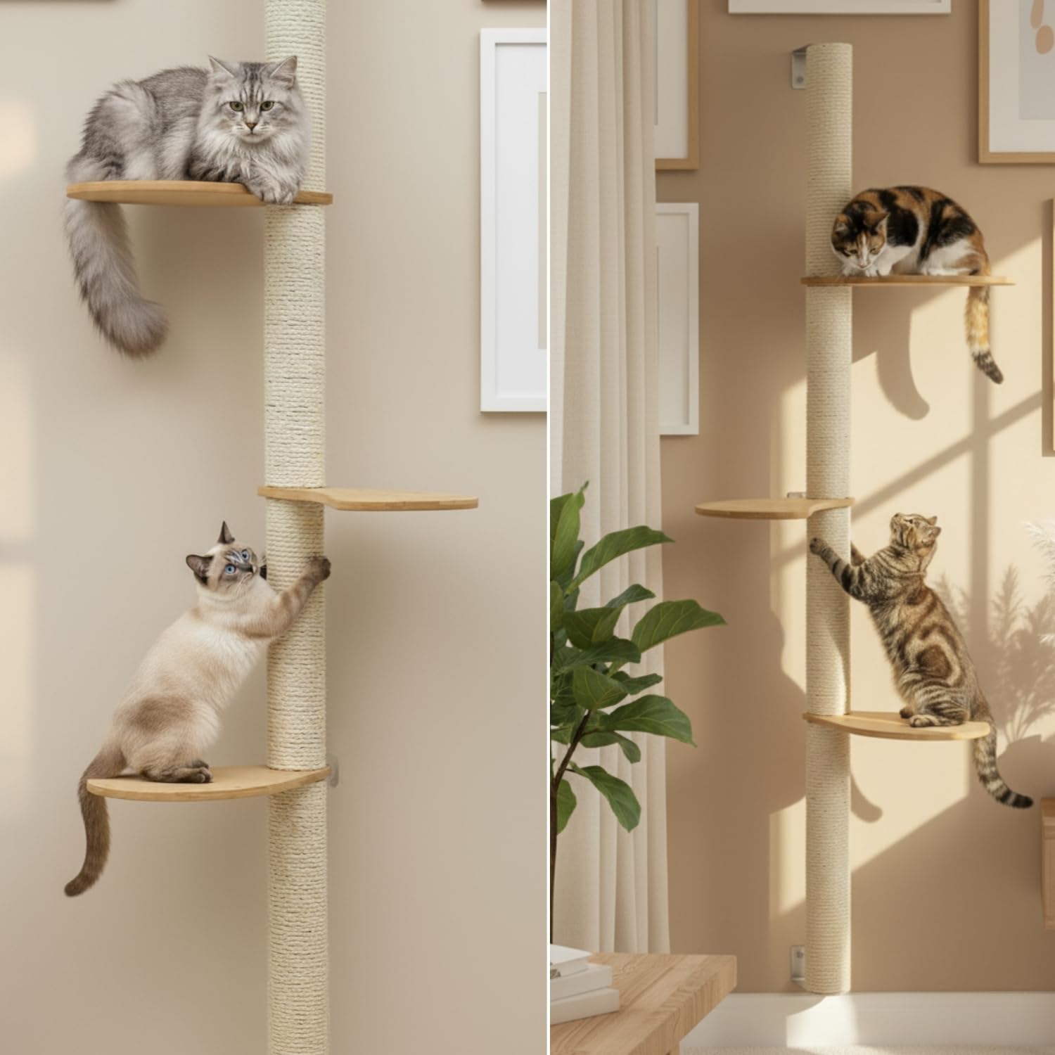eyepower 170 cm Wandkratzbaum Luna mit 3 Plateaus zum Klettern - Kratzbaum Groß für Katzen - Kletterbaum mit Wandhalterung - Katzenbaum zur Wandmontage - Kletterwand Katze Kratzstamm Kratzsäule Wand
