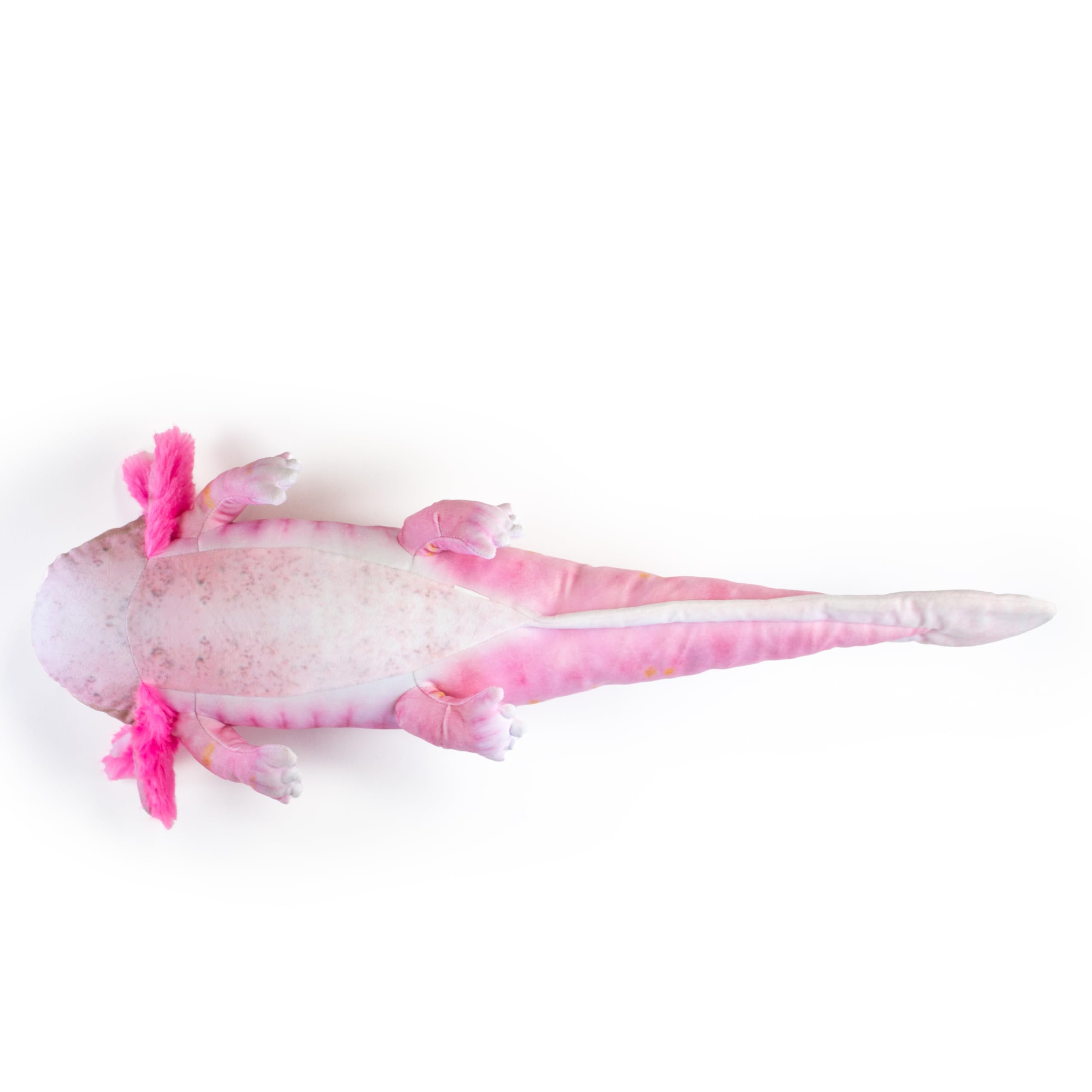 Amazon.co.jp: 太洋産業貿易 SA053 ウーパールーパー ぬいぐるみ