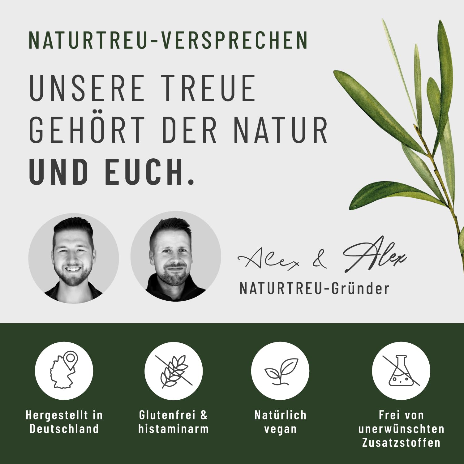 NATURTREU® Bio Gerstengras Kapseln hochdosiert, 540 Kapseln