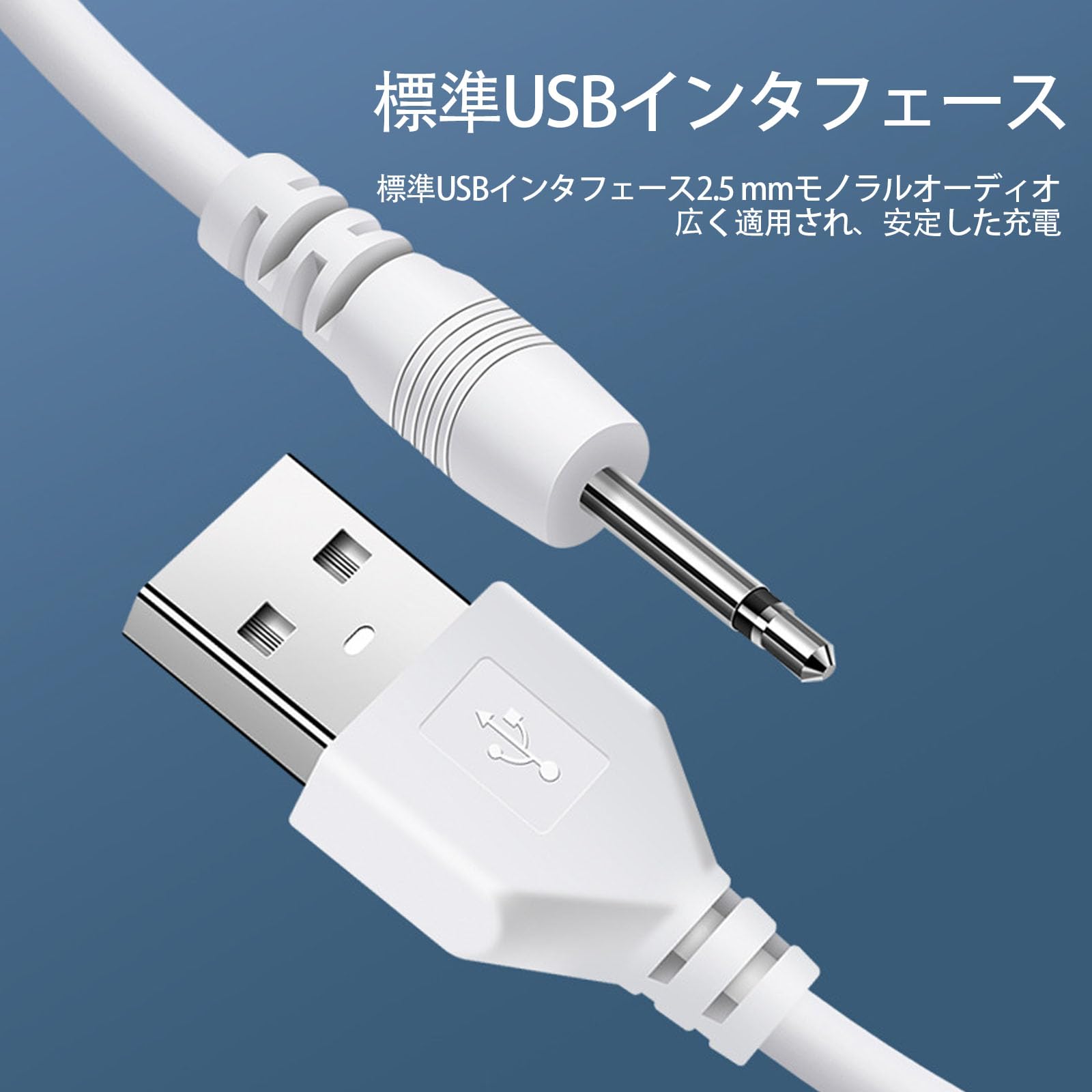 Amazon.co.jp: LUYING ハンディマッサージャー 電マ 充電器 USB to DC