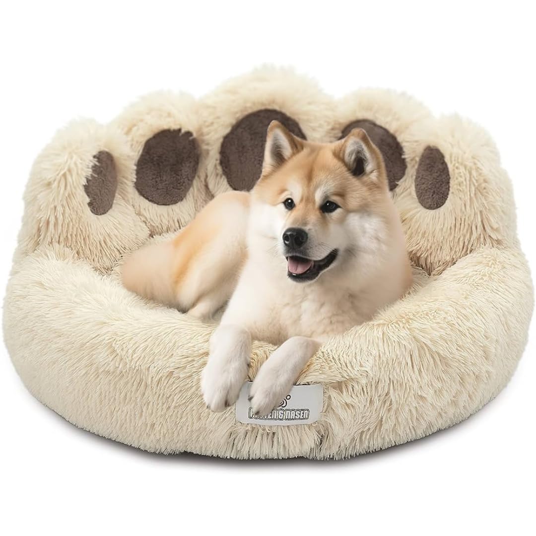pfoten&nasen® Bärenpfote Hundebett & Katzenbett [Beige, S-65cm] – Flauschiges Donut Katzenkörbchen Waschbar, Rund & Weich – Beruhigendes Kuschelbett für Kleine Hunde, Welpen & Katzen