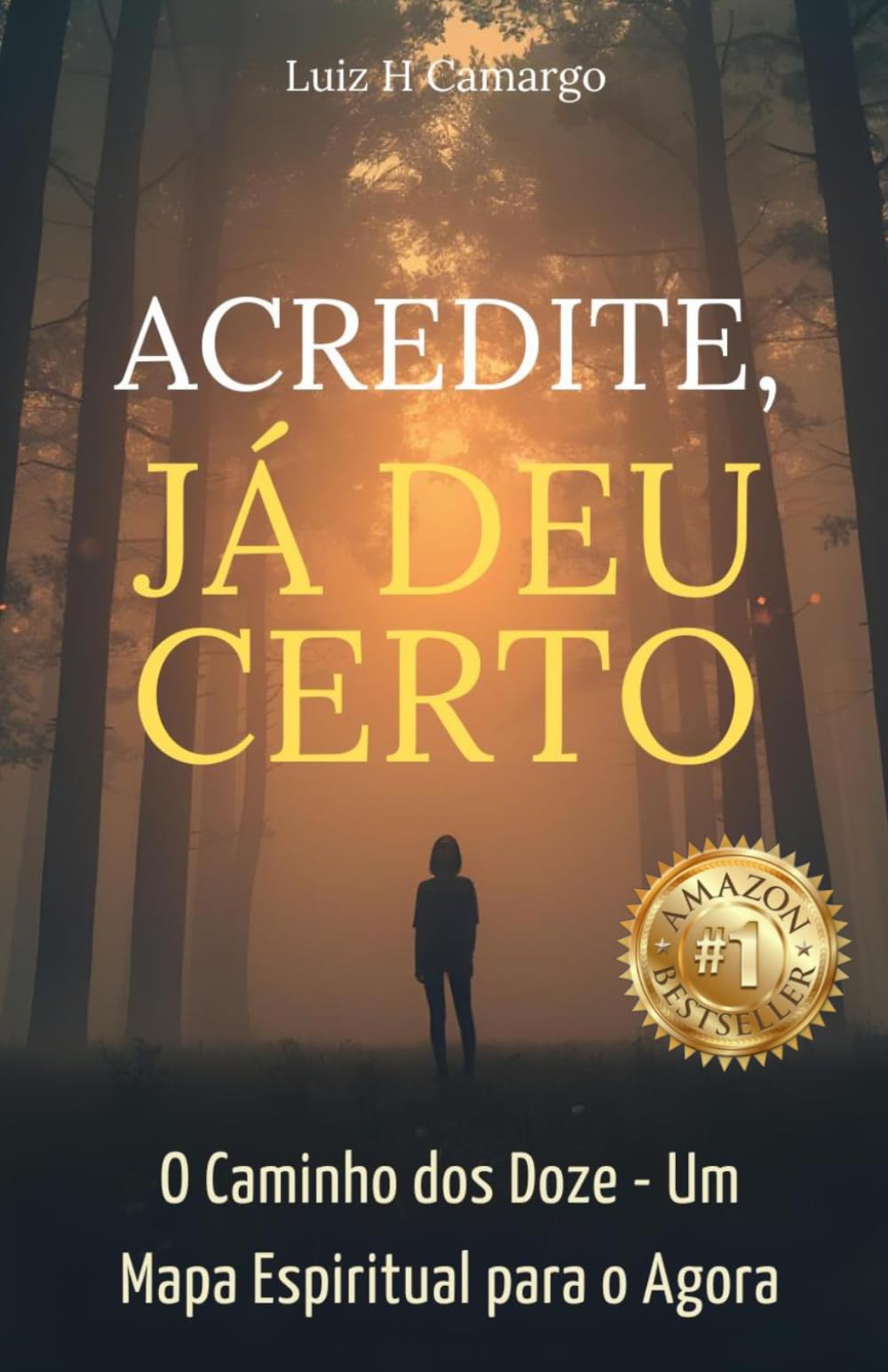 Acredite, Já Deu Certo: O Caminho dos Doze - Um Mapa Espiritual para o Agora