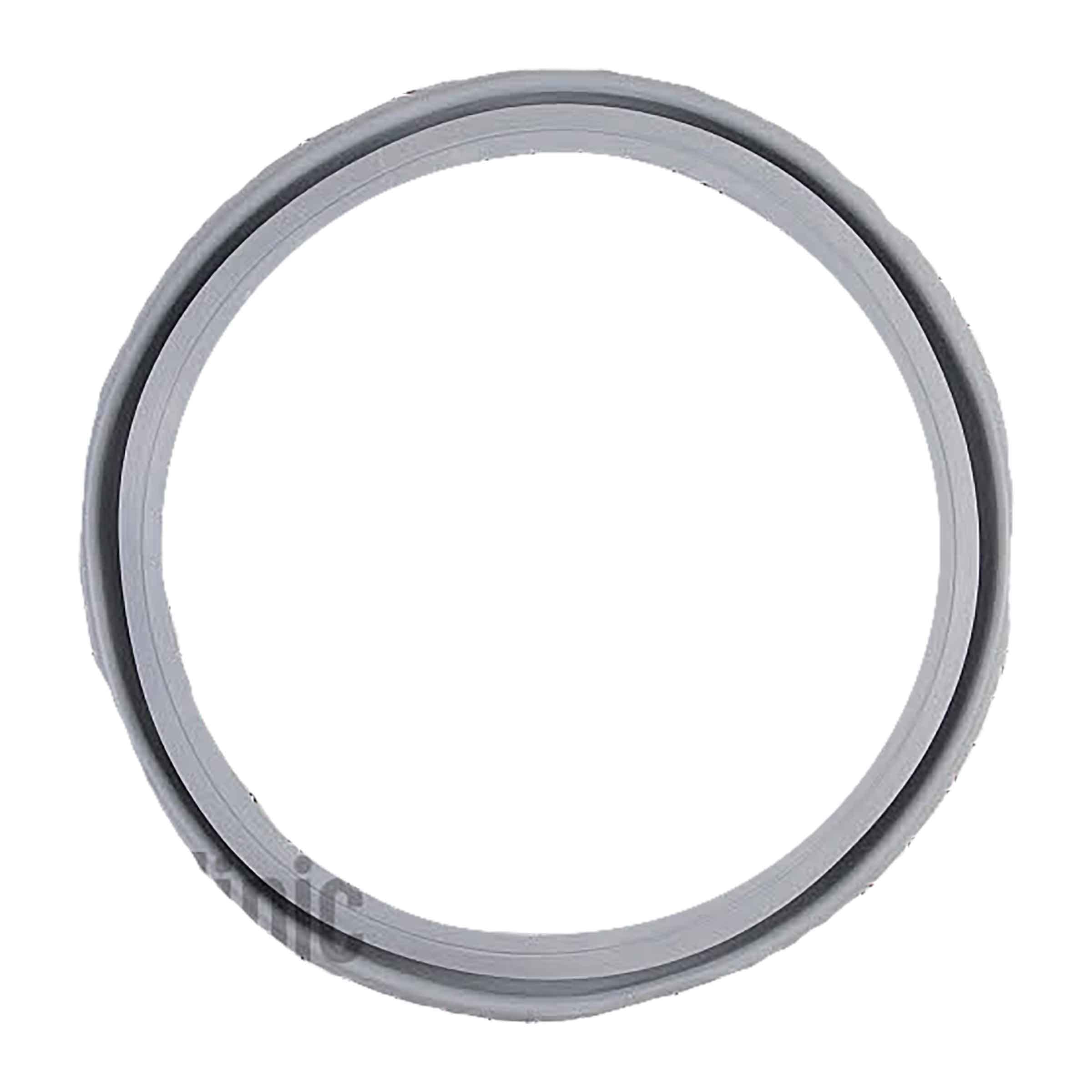 BOSCH - GOMA ESCOTILLA PUERTA - 00667487