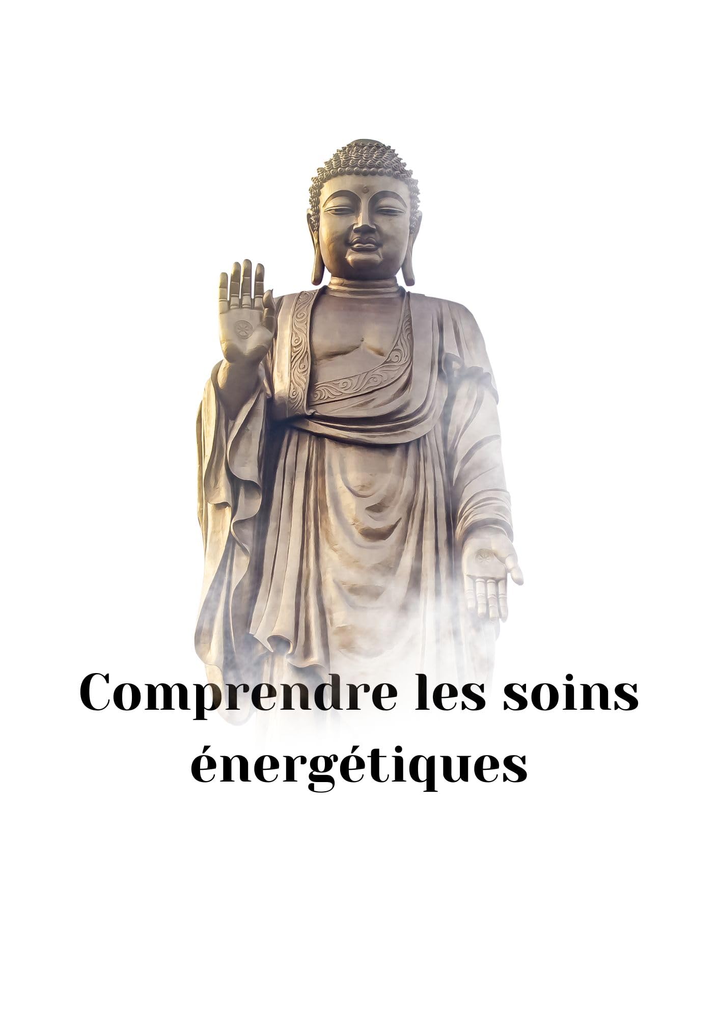comprendre les soins énergétiques (French Edition)