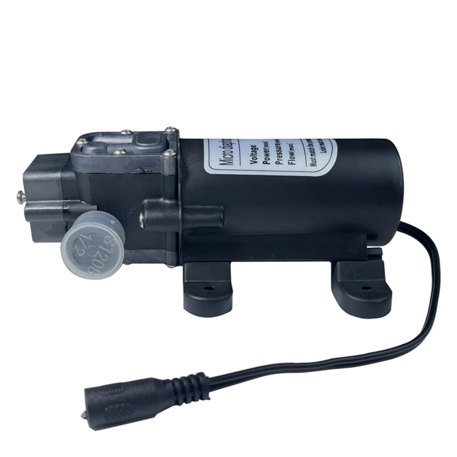 Pompa Nebulizzante 12V Spruzzatore D'acqua A Membrana Booster Ad Alta Pressione 160PSI Portata Pressione Soddisfano Esigenze Applicative(Pump)