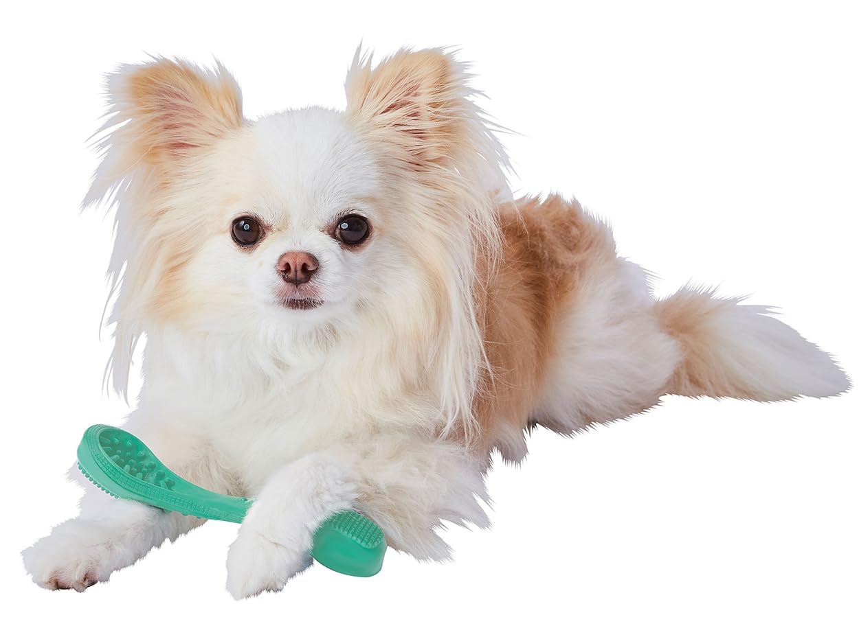 Amazon | アドメイト (ADD. MATE) 犬用おもちゃ Enjoy！かむラバー