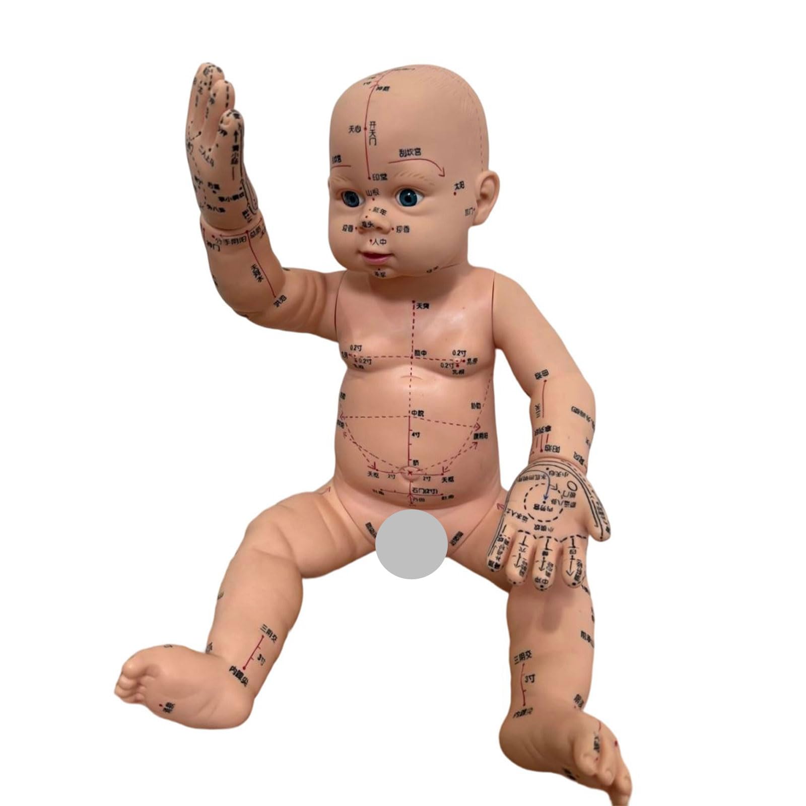 Modello di allenamento professionale per neonati con punti di agopuntura contrassegnati per la formazione nella cura dei neonati e la cura domestica, modello di massaggio pediatrico