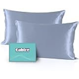 Mulberry Silk Pillowcases Set of 2, Both Sides Real Silk Pillowcase for Hair and Skin Cool Pillowcase Organic Silk Pillowcase 2 Pack with Hidden Zipper, Dusty Blue, Standard (20