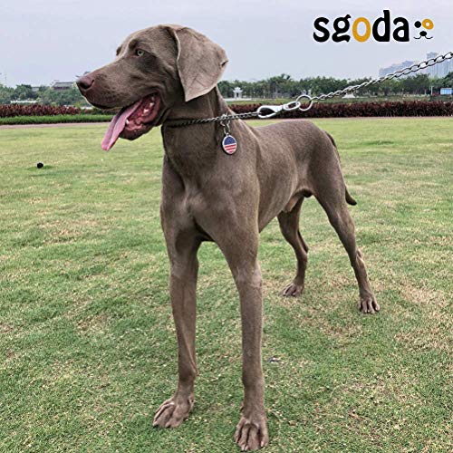 Sgoda Chain Dog Training Choke Collar, Sus304, 24In, 4.0Mm #TOP6