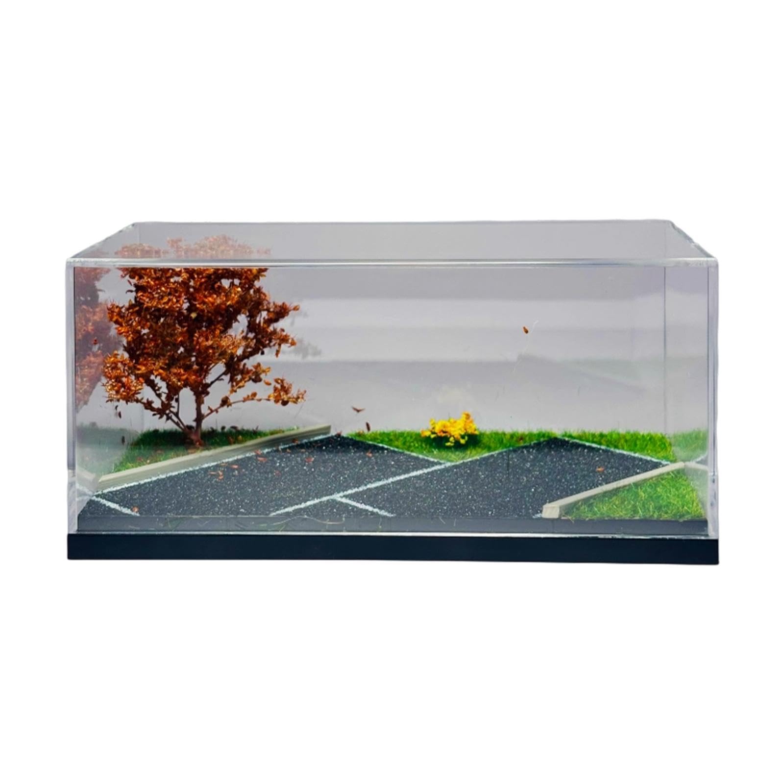 Vetrina per Veicoli in Miniatura in 1/64 con Vetro Acrilico E Albero Trasparente