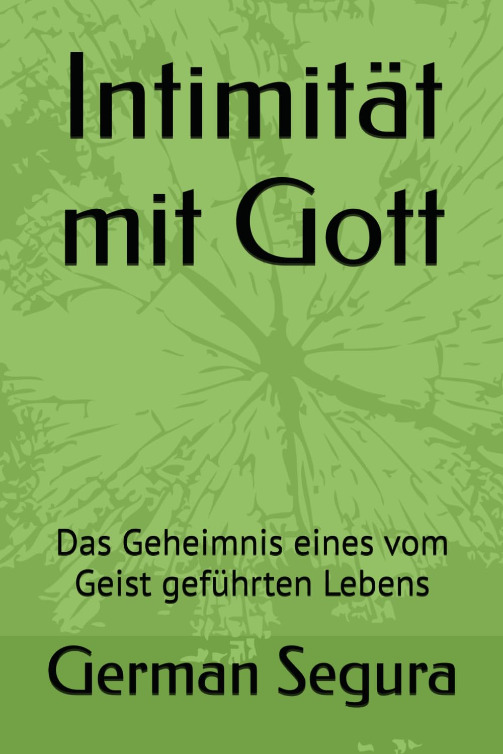 Intimität mit Gott: Das Geheimnis eines vom Geist geführten Lebens