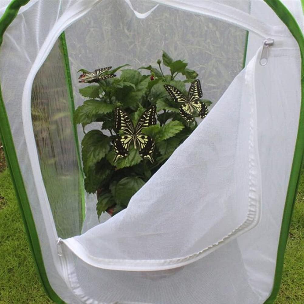 Small Butterfly and Insect Habitat,Folding Transparent Mesh Ventilation