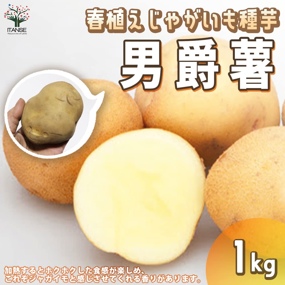 Amazon.co.jp: ITANSE じゃがいもの種芋 品種:男爵(だんしゃく
