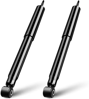 SCITOO Front Shocks Pair 1994-2001 for Dodge Ram 1500