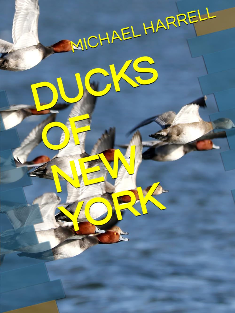 DUCKS OF NEW YORK (Wildlife of North America and other educational books.)      Hardcover – September 29, 2023