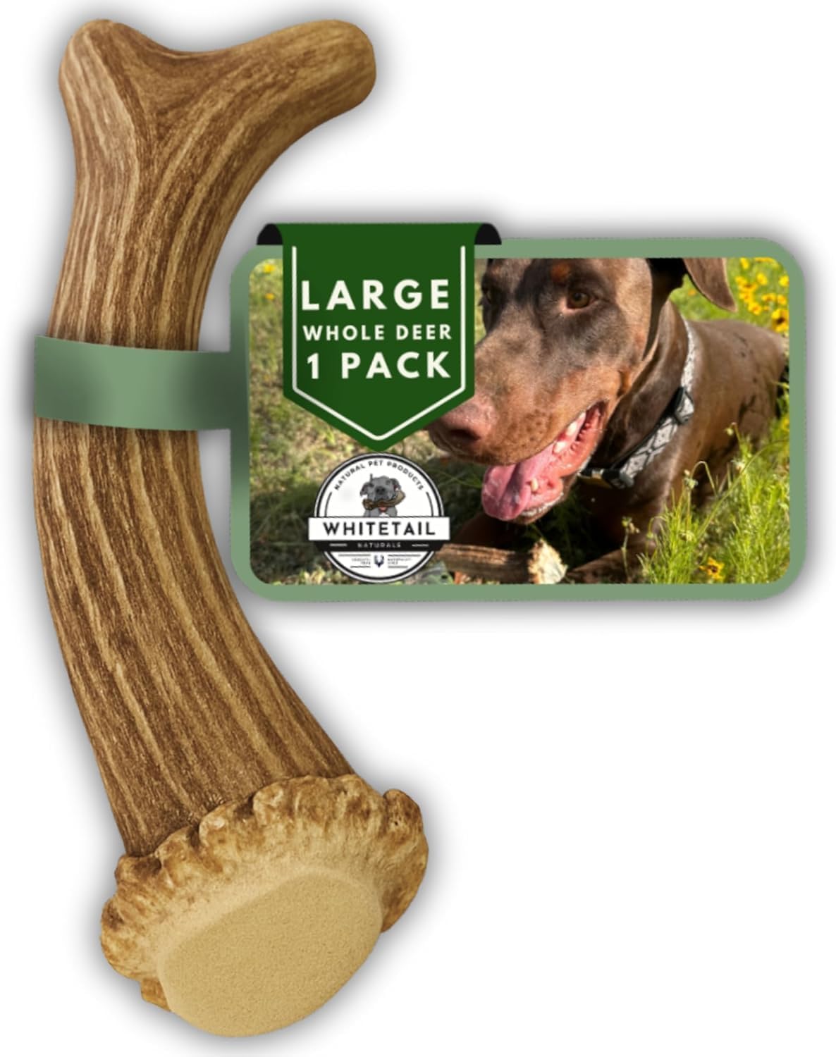 Premium Deer Antlers for Large Dogs - (1 Pack- Large) - All Natural Antler Dog Chew - Naturally Shed, Long Lasting Chew Bone - Made in USA