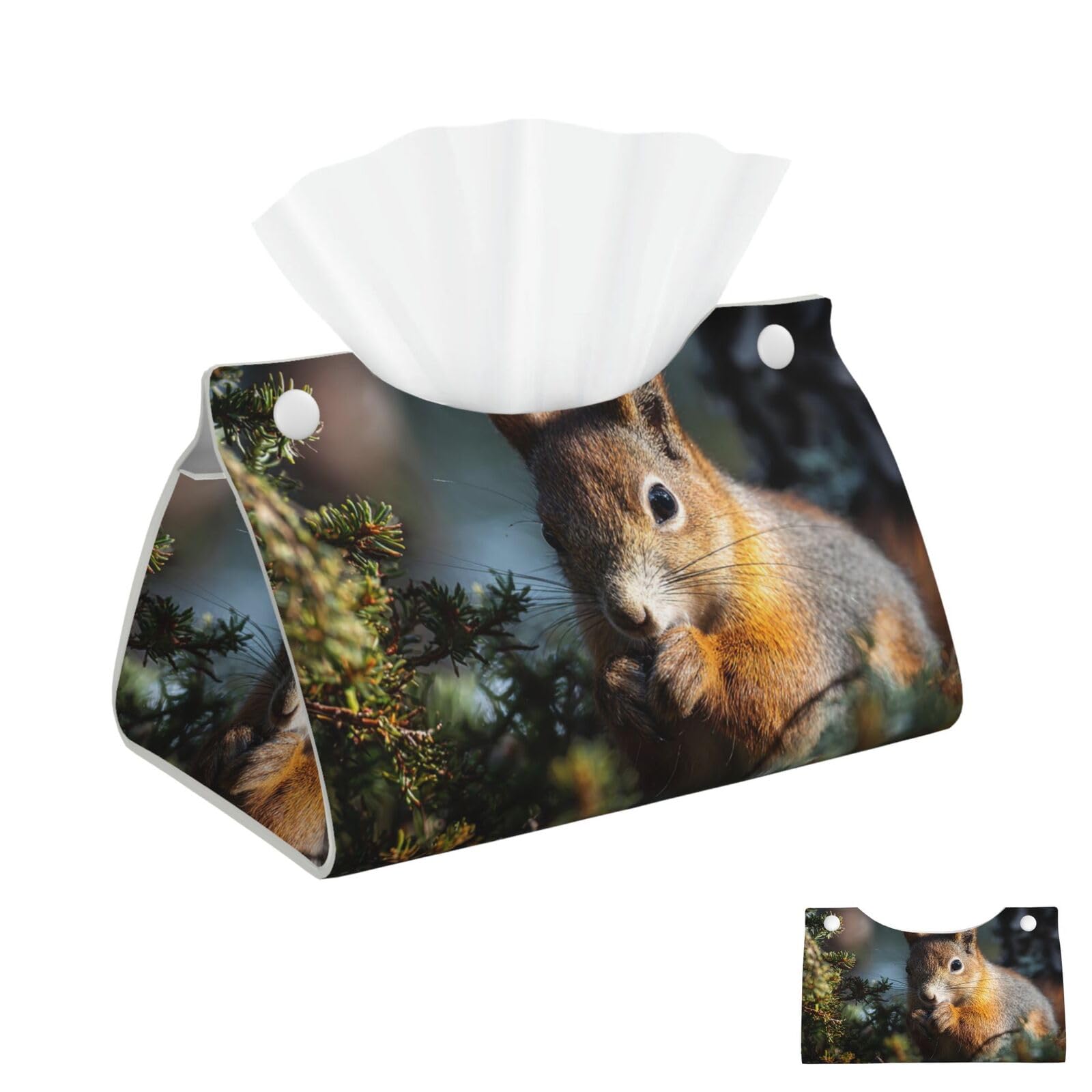 Squirrel in the Forest Tissue Box Cover Square Cube Boxes