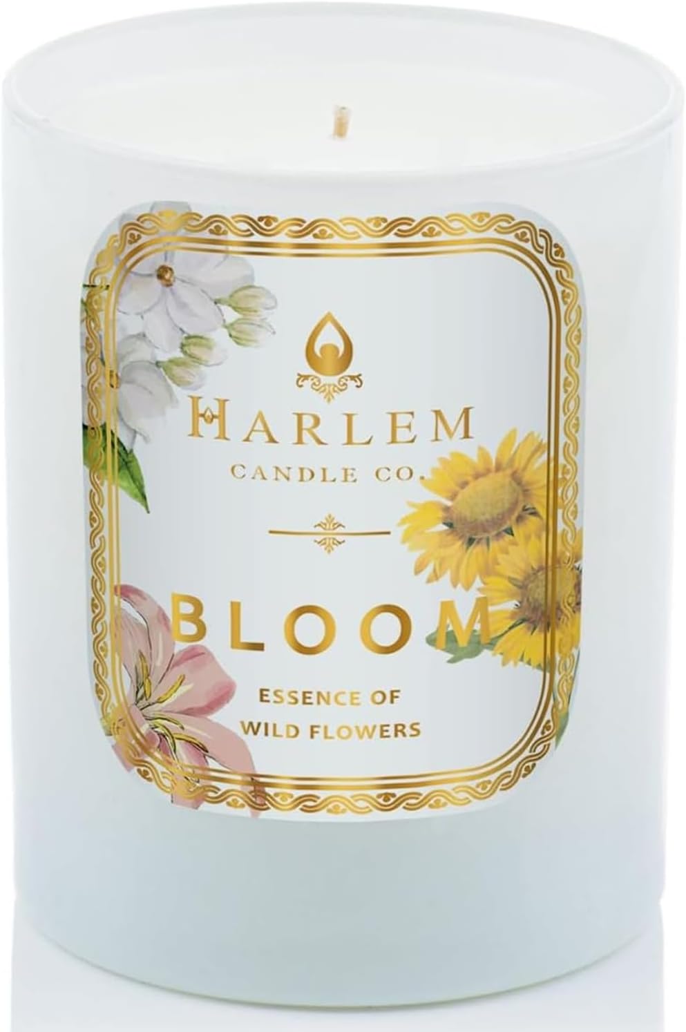 Bloom