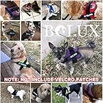 Bolux Dog Harness, No-Pull Reflective Dog Vest, Breathable Adjustable Pet Harness with Handle for Outdoor Walking - No More Pulling, Tugging or Choking (Blue, S) - Image 5