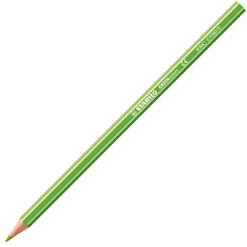 Image of STABILO GREENcolors Colouring Pencils, 12 Colours, ARTY