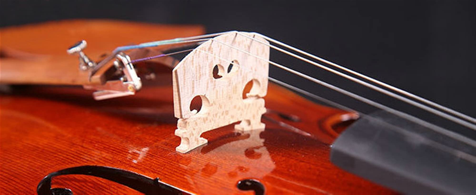 Violino per Le Prestazioni del Modello di Fattura di Fascia Alta del Grado di Esame del Principiante Violino Serie