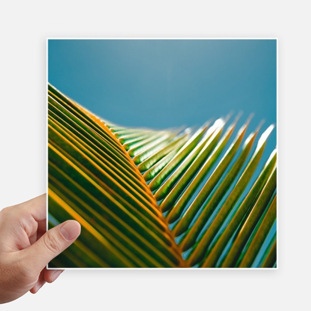Stickers cuadrados de hojas naturales 20cm vinilos decorativos de pared y maletas pack de 4