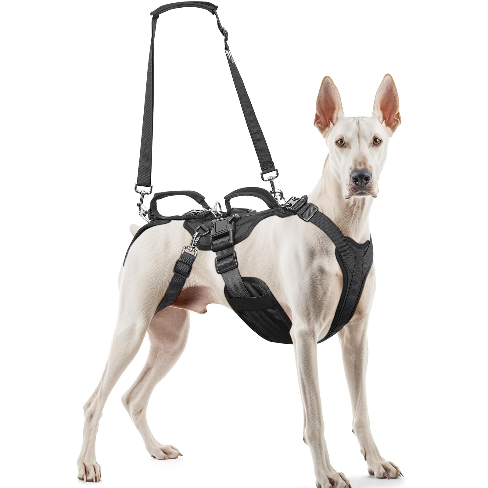 Photo 1 of Dog Lift Harness for Large/Medium Dogs, Dog Support & Recovery Sling for Full-Body & Hind/Front Leg – Pee-Able Design – All-in-One Ideal Assistance for Senior, Disabled, Arthritic & ACL Canines (XL)